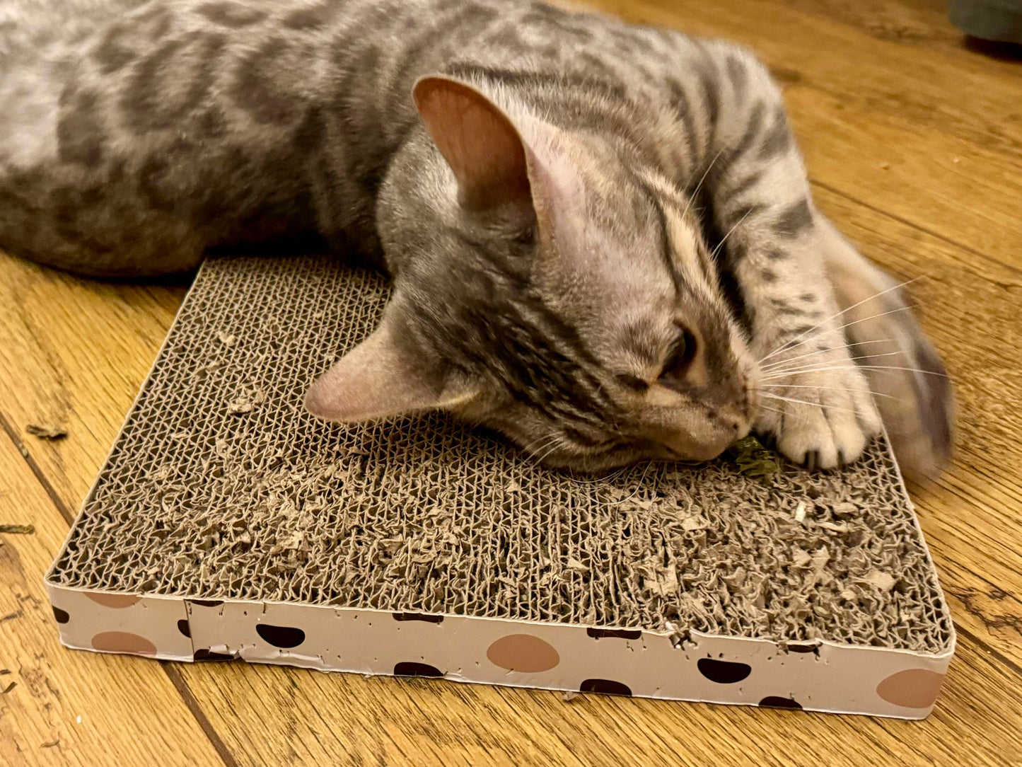 Silver Vine Leaves for cats in a heart tin