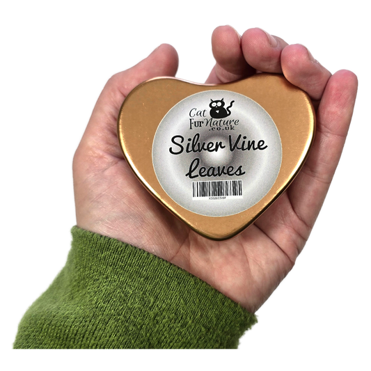 Silver Vine Leaves for cats in a heart tin