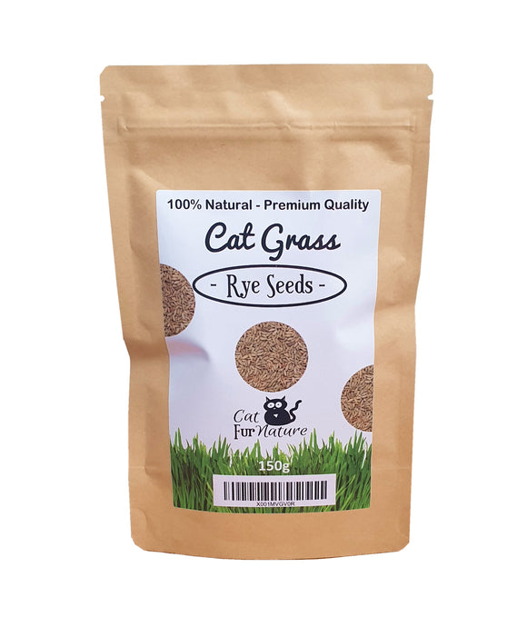 Cat Grass Seeds - Rye (150g)
