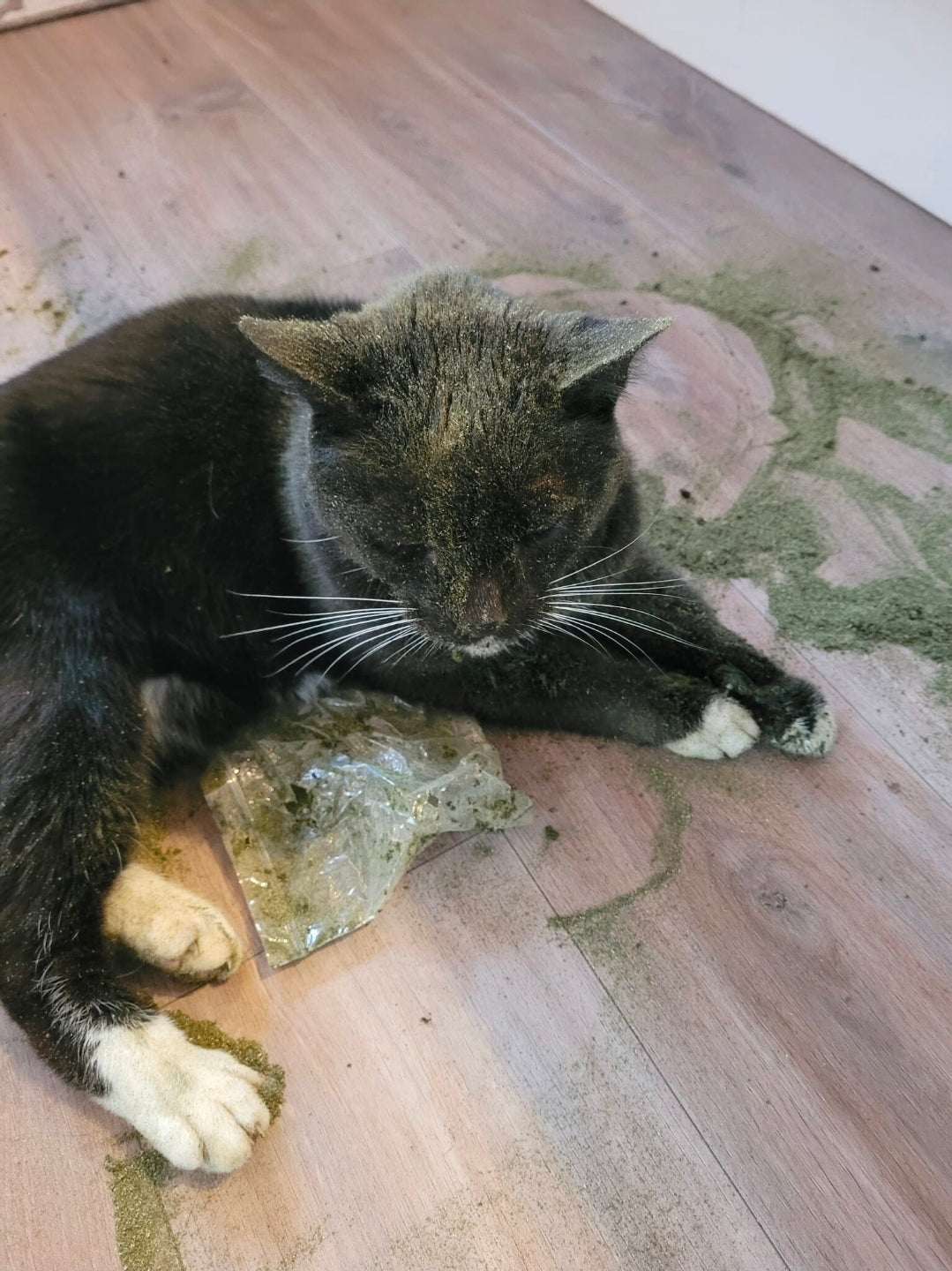 Cat FurNature Silver Vine Leaf Powder