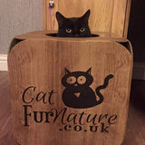 Cardboard Cat Cube