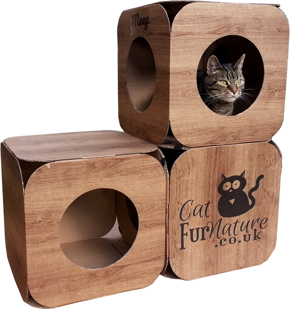 Cardboard sales cat furniture