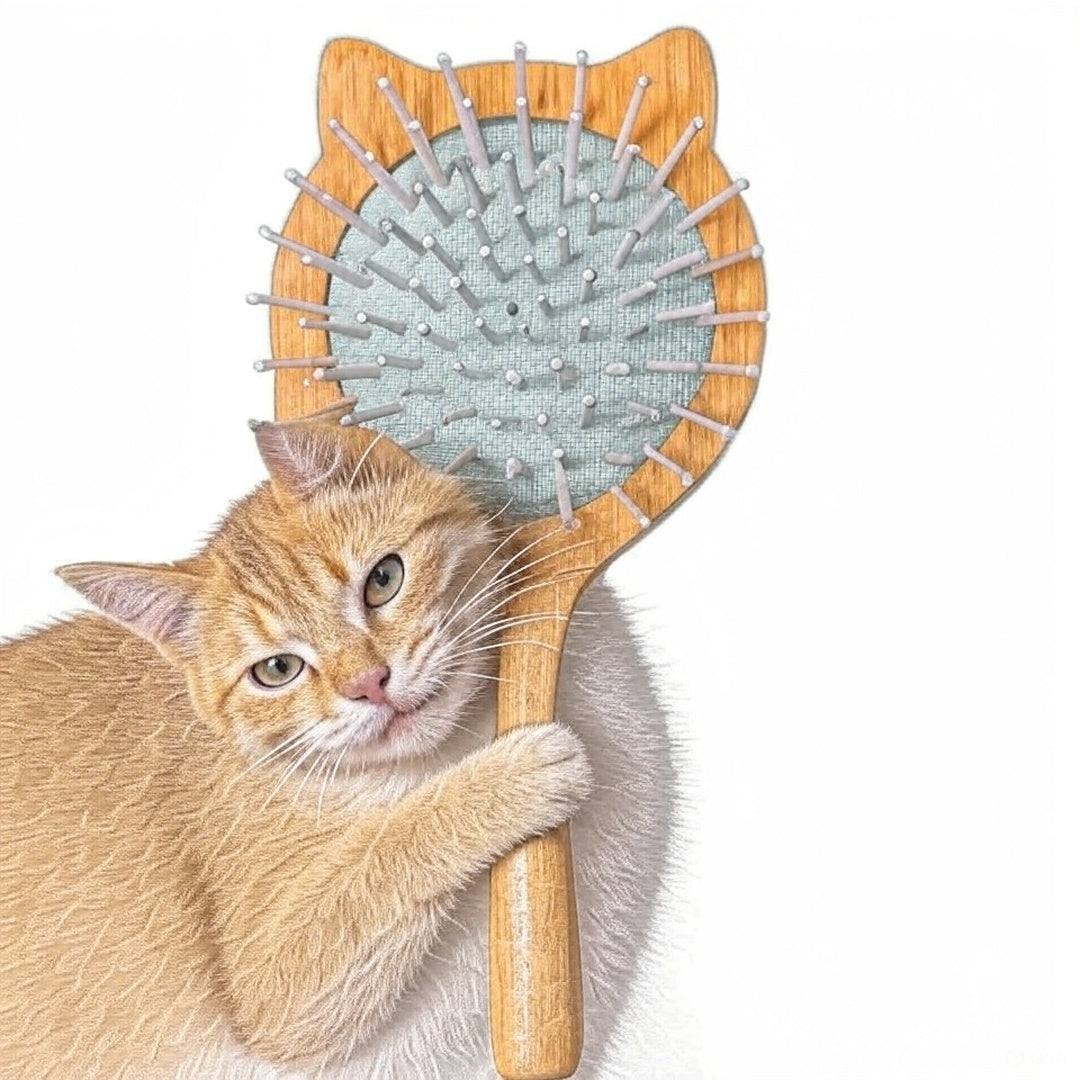 Cat Grooming and other Care