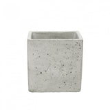 Luxury Cat Grass Pot and Kits - Concrete Cube