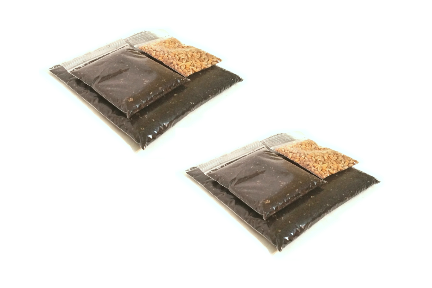 Luxury Cat Grass Pot and Kits - Concrete Trough