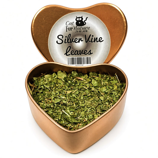 An open heart-shaped copper tin filled with dried green silver vine leaves, with the outer lid showing a silver label that reads 'Cat Furniture Co. Silver Vine Leaves'.