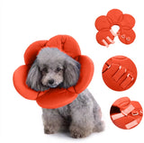 Soft Pet Recovery Collars by Cat FurNature