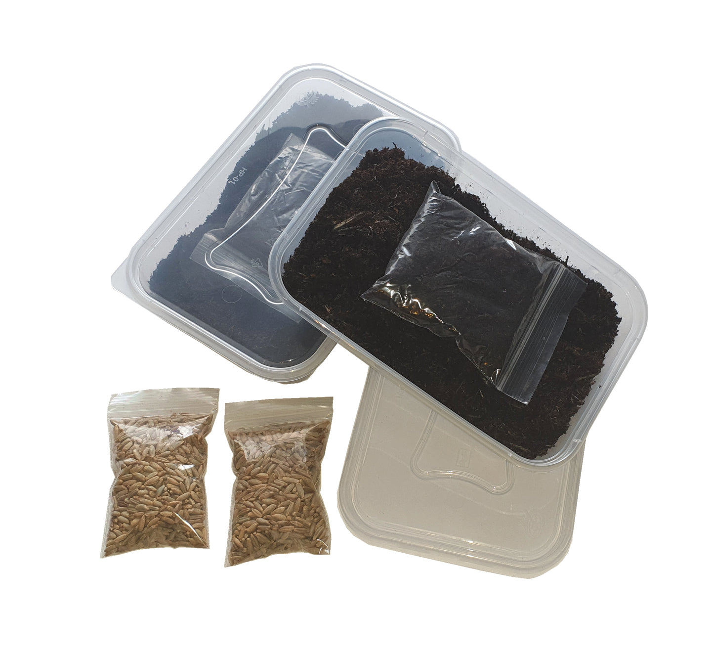 Pet Grass 2 pack By Cat FurNature