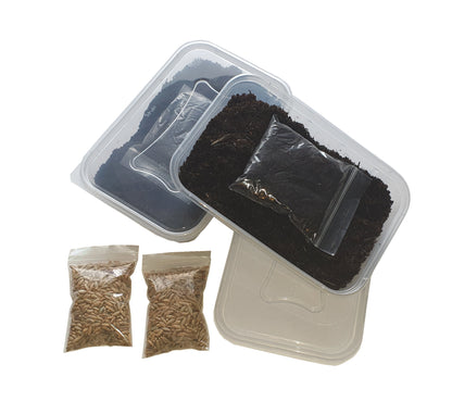 Pet Grass 2 pack By Cat FurNature
