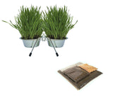 Stainless Steel Bowls with Stand and Grow Your Own Cat Grass Kit