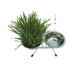 Stainless Steel Bowls with Stand and Grow Your Own Cat Grass Kit