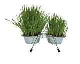 Stainless Steel Bowls with Stand and Grow Your Own Cat Grass Kit