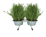 Stainless Steel Bowls with Stand and Grow Your Own Cat Grass Kit