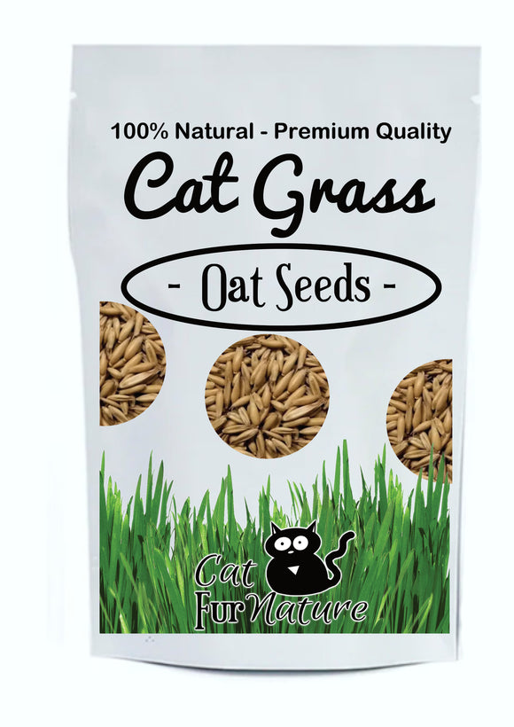 Cat Grass Seeds - Oat (150g)