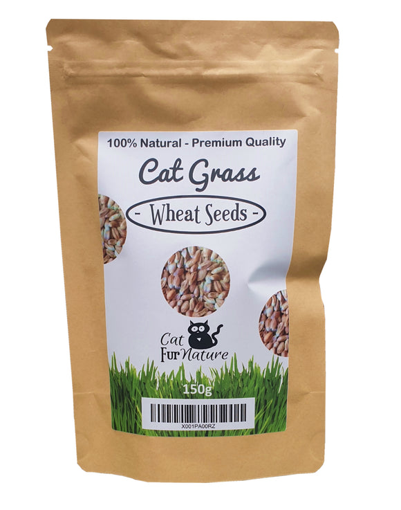 Cat Grass Seeds - Wheat (150g)