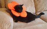 Soft Pet Recovery Collars by Cat FurNature