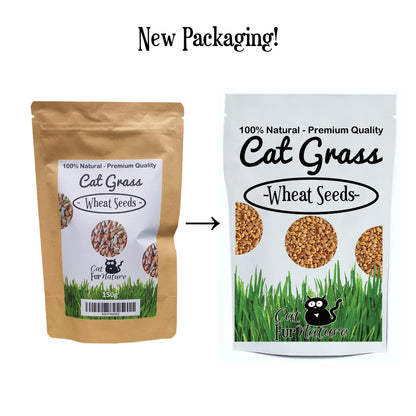 Cat Grass Seeds - Wheat 150g