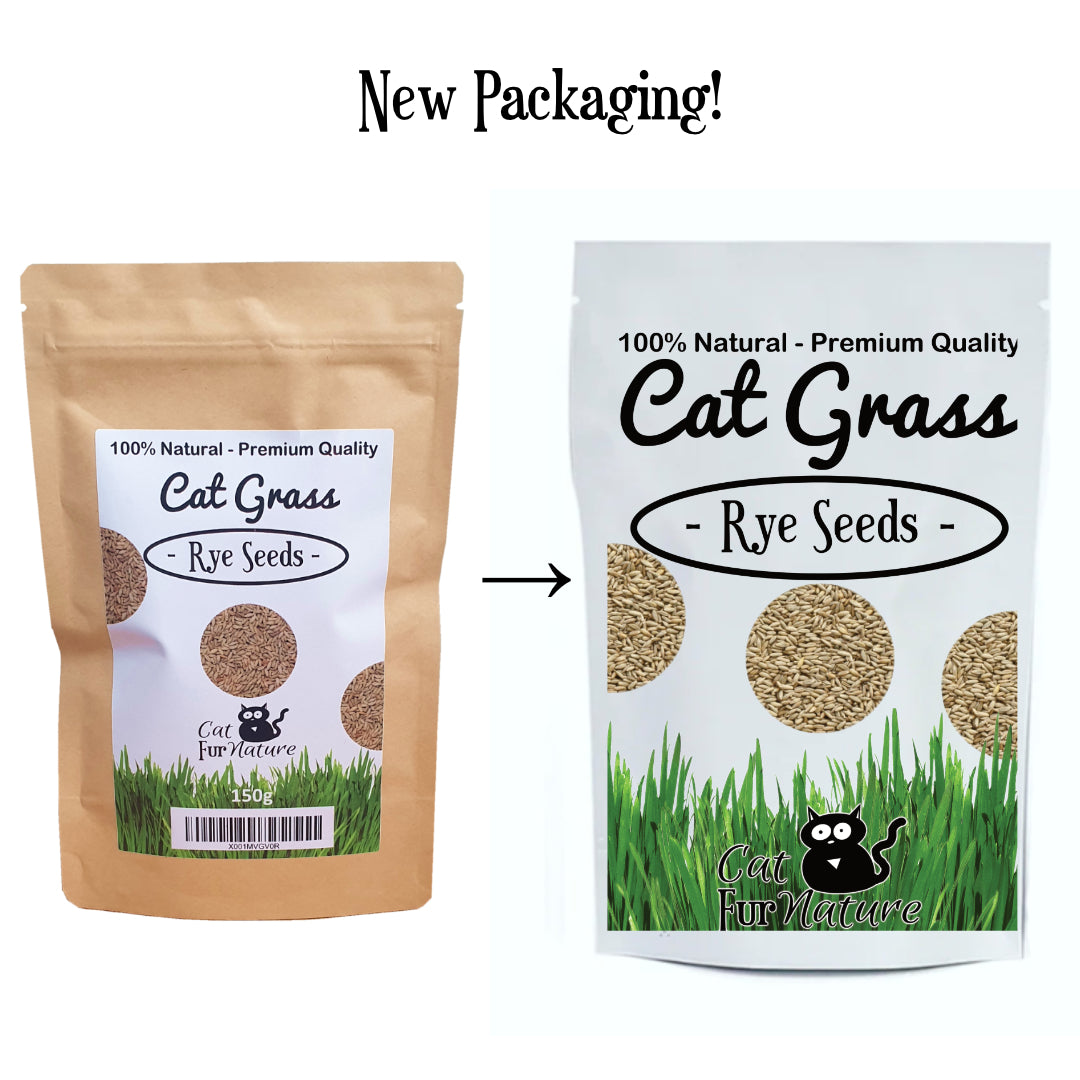 Cat Grass Seeds - Rye 150g