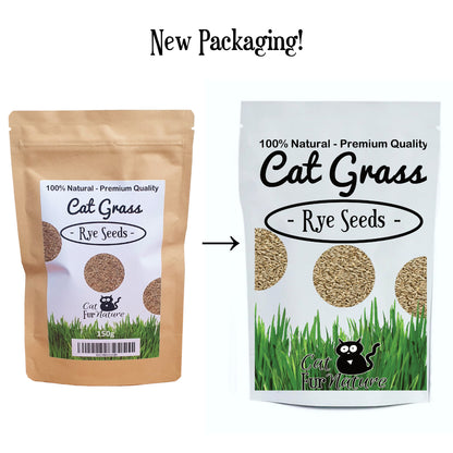 Cat Grass Seeds - Rye 150g