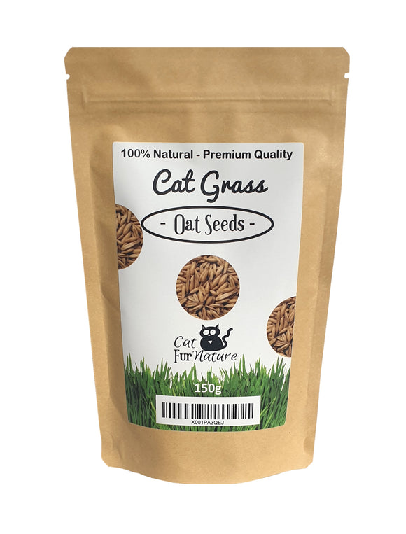 Cat Grass Seeds - Oat (150g)