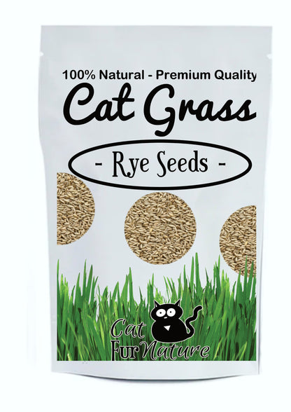 Cat Grass Seeds - Rye 150g
