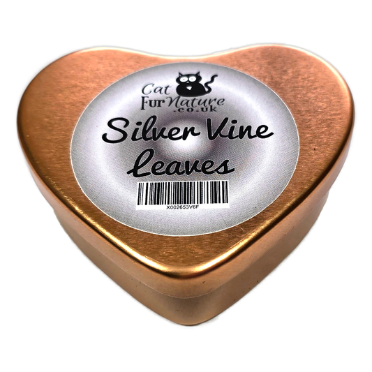 Silver Vine Leaves for cats in a heart tin