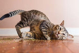 Valerian for Cats (30g) by Cat FurNature
