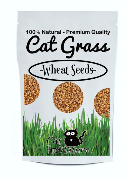 Cat Grass Seeds - Wheat 150g