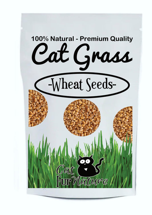Cat Grass Seeds - Wheat 150g