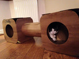 Cardboard Cat Cubes and a Tunnel