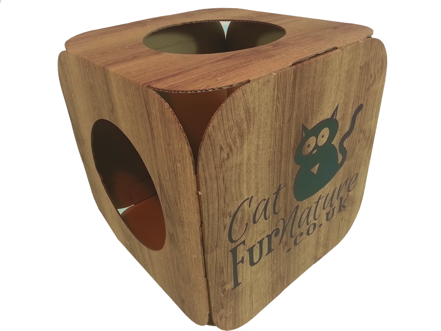 Cardboard Cat Cube