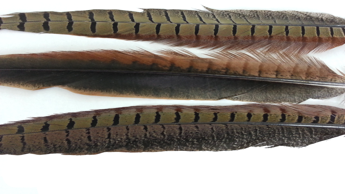 Arch Nemesis Feather Cat Toy - 3 pack