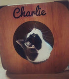 Personalise your Cat Cube - Name Only