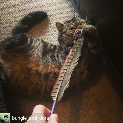 Arch Nemesis Feather Cat Toy - 3 pack