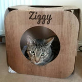 Personalised Cardboard Cat Cube