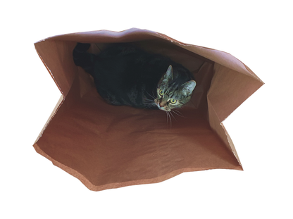 Catnip Attack Bags