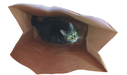 Catnip Attack Bags