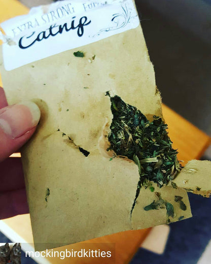 Extra Strong Catnip Small Attack Envelopes - 5