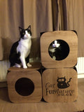 Cardboard Cat Cube - 3 Pack