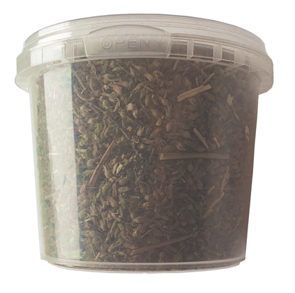 Extra Strong Catnip in a Tub