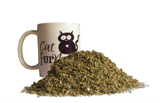 Extra Strong Catnip in a Tub
