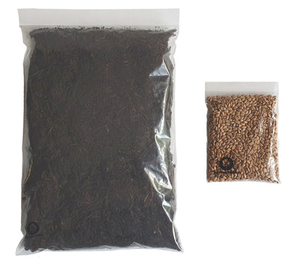 Eco Cat Grass